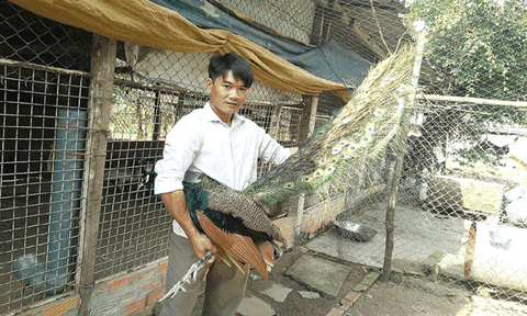 “Nông dân 9X” dám nghĩ, dám làm 