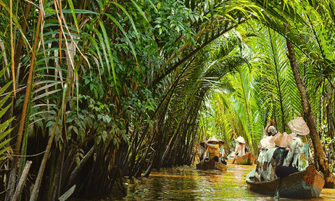 Liên kết phát triển du lịch Bến Tre với cụm phía Đông ĐBSC