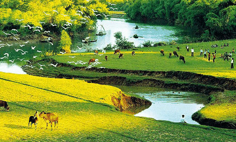 Nam Bộ tình đất tính người