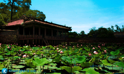 Hấp dẫn Lễ hội Sen tại Cố Đô Huế