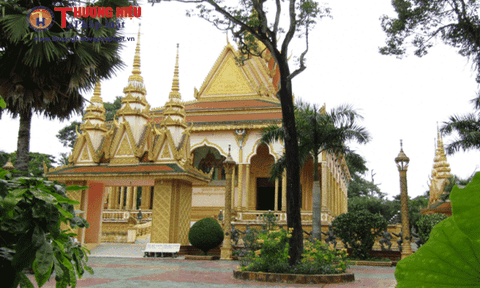 Độc đáo chùa Cò Trà Vinh