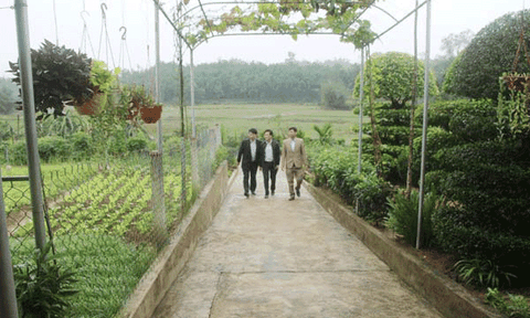 Đức Bồng: Các chỉ tiêu cơ bản đạt và vượt kế hoạch