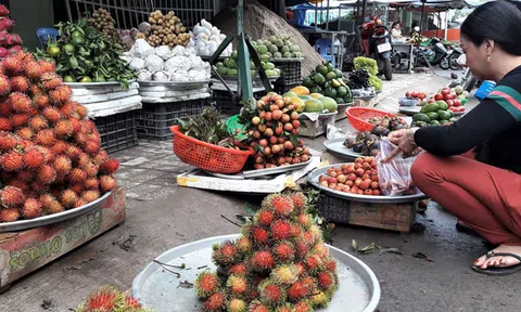 Ngọt ngào hương vị trái cây mùa hè