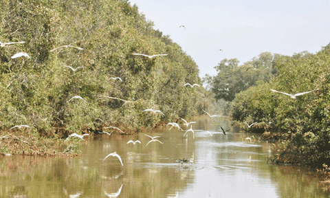 Tìm hướng đi mới cho du lịch sinh thái 
