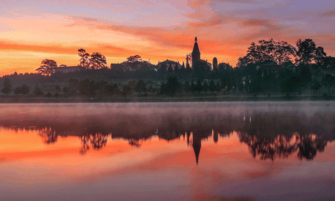 Ðà Lạt mùa không có hoa dã quỳ