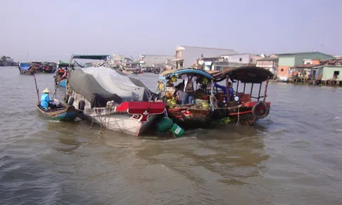 Đồng Tháp đón trên 1,8 triệu lượt khách du lịch