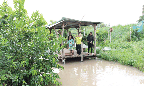 Vườn sinh thái đậm “chất quê” của một nhà nông