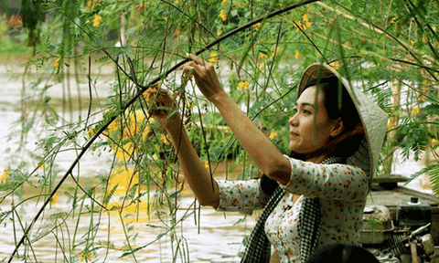 Thắm đượm miền Tây mùa nước nổi