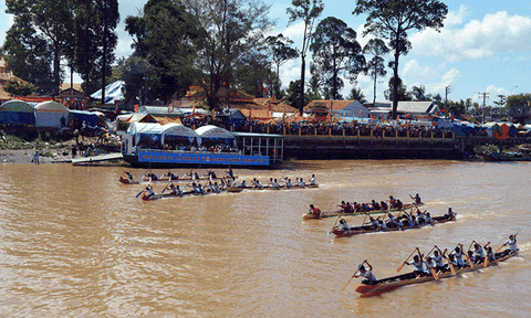 Đặc sắc hội đua thuyền đình Bình Thủy