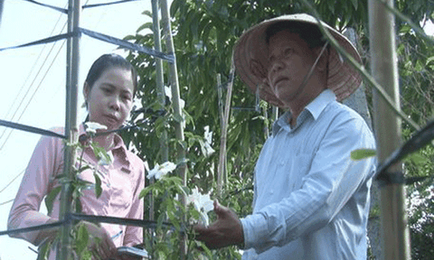 Người đàn ông đam mê hoa hồng