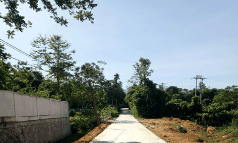 Tiền Phong phát huy thế mạnh trong phát triển kinh tế