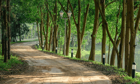 “Giao cảm” - những tâm tình của nữ thi sĩ xứ Quảng