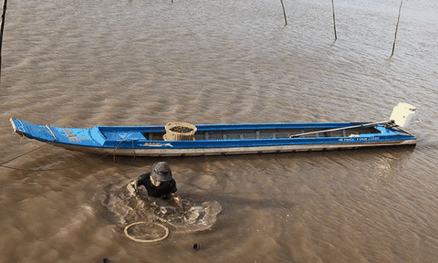 Về miệt biển rừng nghe lại chất phương Nam