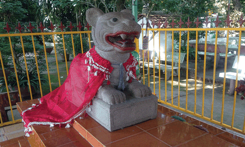 Chuyện về ông Hổ ở xứ cù lao