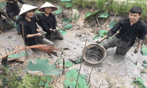 Chung sức làm du lịch homestay