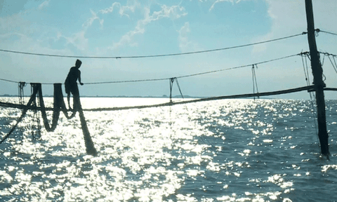 Nghề đóng đáy đất biển Cà Mau