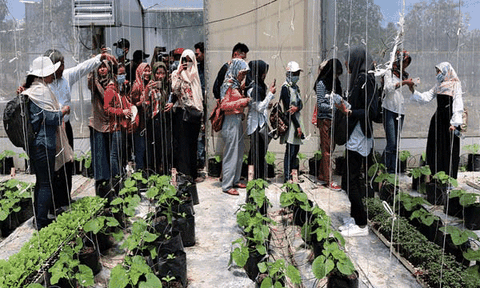 Phát triển “Tam nông” gắn với du lịch ở Châu Đốc