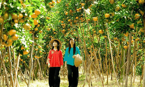 Cần Thơ - Nét quyến rũ vùng sông nước