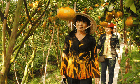 Nâng chất điểm tham quan vườn cây ăn trái