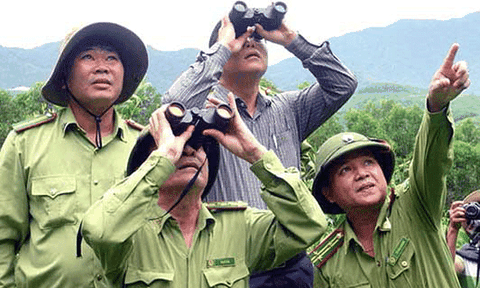 Quảng Nam: Cấp bách bảo vệ đàn Voọc quý hiếm 