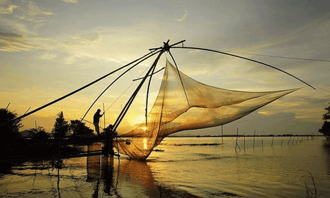 Ngất ngây trước vẻ đẹp của miền Tây mùa nước nổi