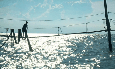 Nghề đóng đáy đất biển Cà Mau