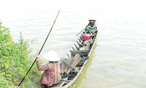 Về đồng nước nổi