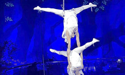 Sự chuyển mình của xiếc Việt