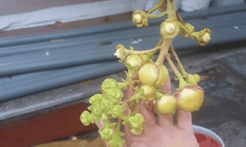 Đàn bà tuổi ba lăm...