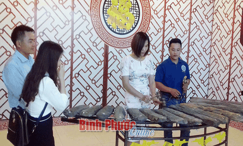 Bảo tàng tỉnh đưa đàn đá vào cuộc sống