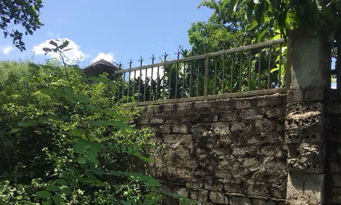 Vụ “Lấn chiếm đất gia đình mẹ VNAH” ở Nghệ An: Huyện Quỳnh Lưu kiên quyết xử lý! 