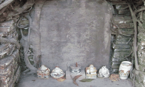 Bí ẩn của tấm bia cổ trong gốc đa