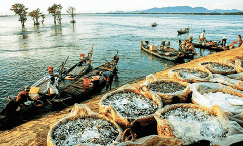 Miền Tây - mùa nước nổi lại về