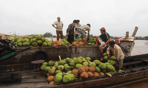 Mưu sinh cùng sông nước