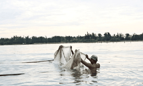 Độc đáo nghề săn cá tiến vua