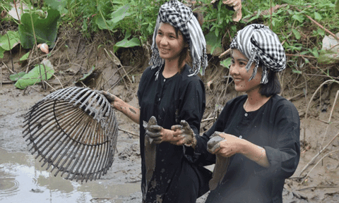Một ngày ở Tràm Chim