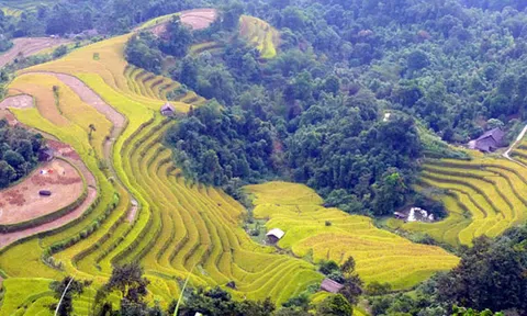 Qua miền Di sản ruộng bậc thang Hoàng Su Phì