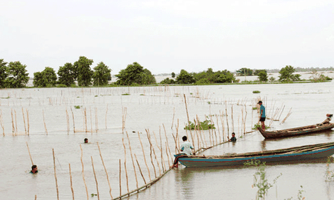 Vui, buồn “Mùa nước nổi” miền Tây 