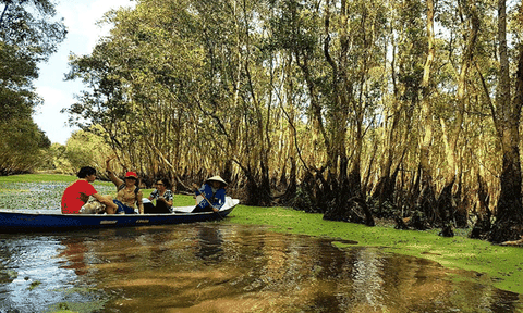 Thiên nhiên xanh mướt mát ở rừng tràm Trà Sư