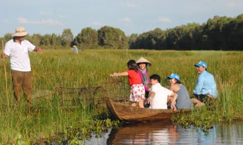 Mùa nước nổi trải nghiệm làm ngư dân, ngủ lại trong rừng