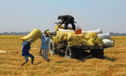Chuyển mình nơi “cửa ngõ” miền Tây