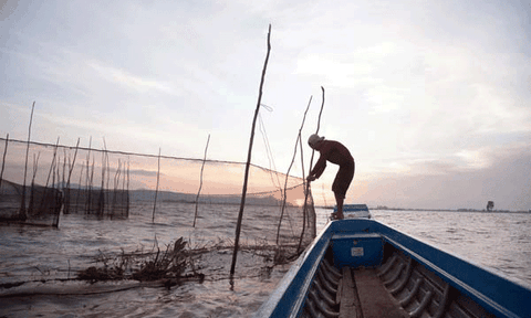 Đặt dớn mùa nước nổi