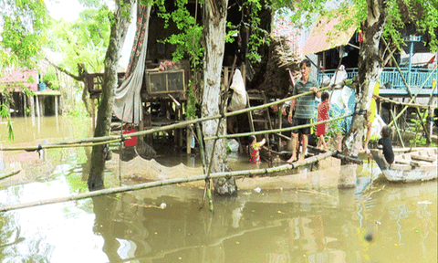 Cầu khỉ nối nhịp tình người vùng lũ