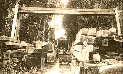 Công nghiệp Đồng Nai đầu thế kỷ 20