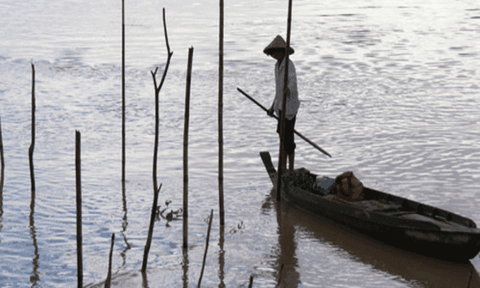 Theo chân thợ săn mùa nước nổi