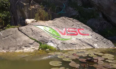 Sai phạm tại Dự án "Khu du lịch sinh thái Phà lài”, sao không xử lý?