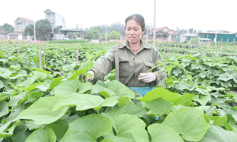 Vĩnh Phúc: Những bí thư "hai giỏi" ở Hồ Sơn