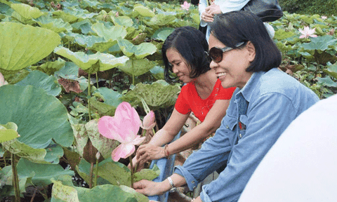 Du lịch mùa nước nổi hấp dẫn du khách