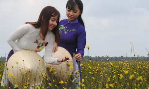 Câu chuyện Tràm Chim