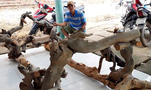 Độc đáo giá võng làm bằng cây cóc rừng hiếm thấy ở miền Tây